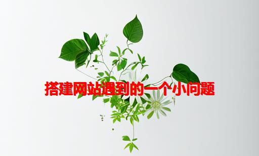 搭建网站遇到的一个小问题