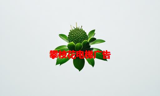 攀枝花电梯广告