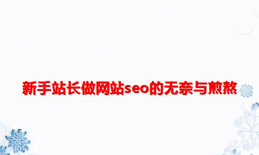 新手站长做网站SEO的无奈与煎熬