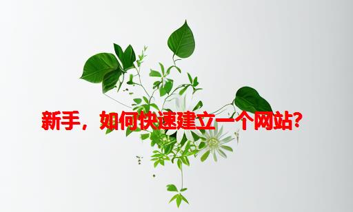 新手，如何快速建立一个网站？