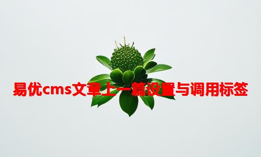 易优CMS文章上一篇设置与调用标签