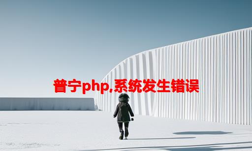 普宁php,系统发生错误