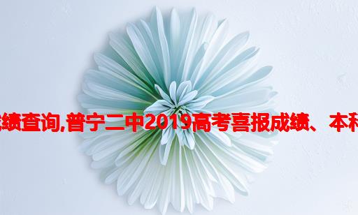 普宁二中高考2021成绩查询,普宁二中2019高考喜报成绩、本科重本上线人数情况...