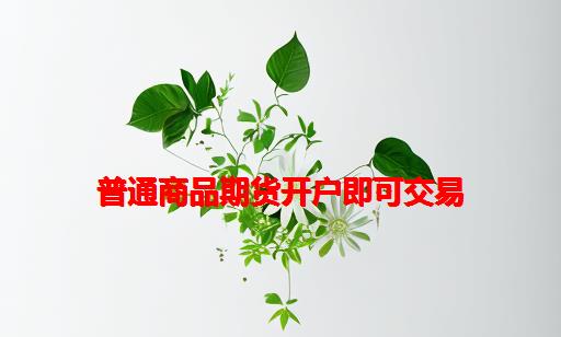 普通商品期货开户即可交易