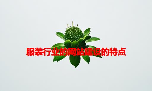 服装行业的网站建设的特点