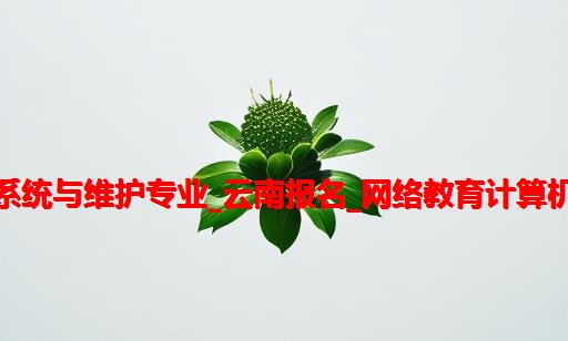 楚雄计算机维修,楚雄广播电视大学计算机系统与维护专业_云南报名_网络教育计算机系统与维护专业教学计划_中国教育在线...