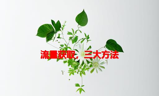 流量获取，三大方法