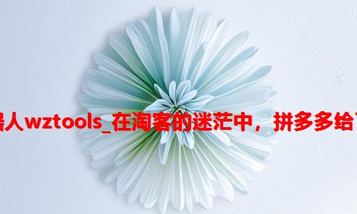 淘客发单机器人wztools_在淘客的迷茫中，拼多多给了我一丝光明