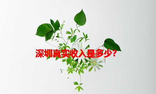 深圳真实收入是多少？