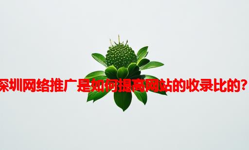 深圳网络推广是如何提高网站的收录比的？