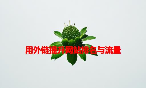 用外链提升网站排名与流量