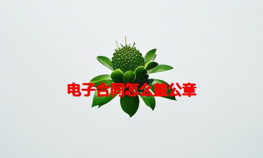 电子合同怎么盖公章