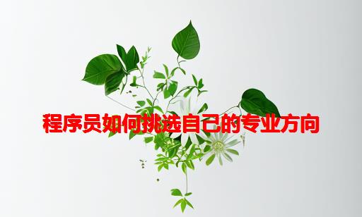 程序员如何挑选自己的专业方向