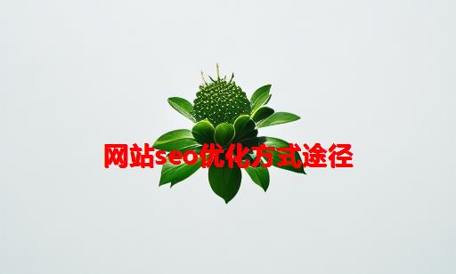 网站seo优化方式途径