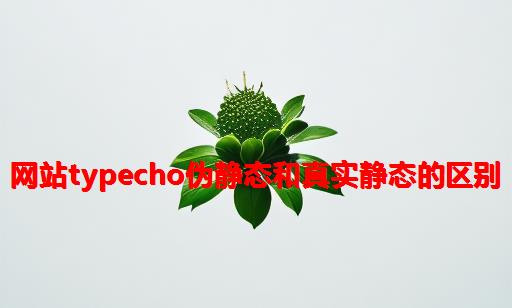 网站typecho伪静态和真实静态的区别