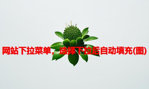 网站下拉菜单，选择下拉后自动填充(图)