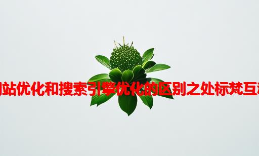 网站优化和搜索引擎优化的区别之处标梵互动