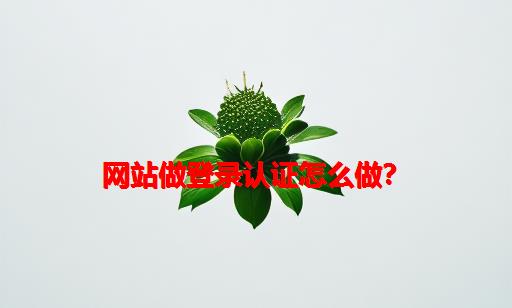 网站做登录认证怎么做？