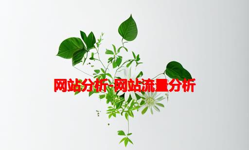 网站分析-网站流量分析