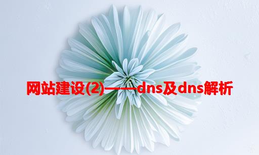 网站建设(2)——DNS及DNS解析