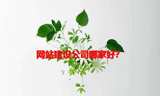 网站建设公司哪家好？