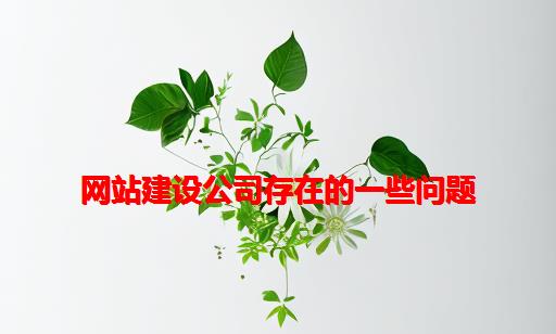 网站建设公司存在的一些问题