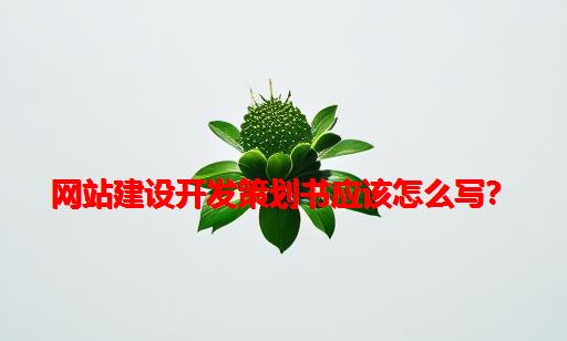 网站建设开发策划书应该怎么写？