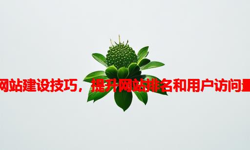 网站建设技巧，提升网站排名和用户访问量