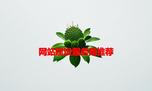 网站建设服务商推荐