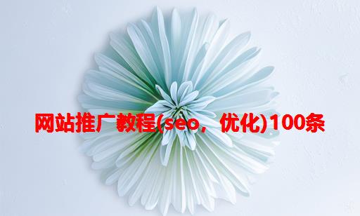 网站推广教程(SEO，优化)100条