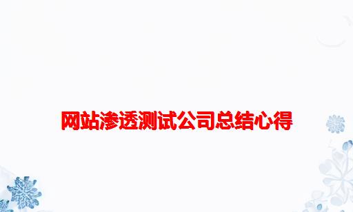 网站渗透测试公司总结心得