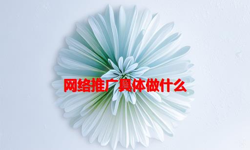 网络推广具体做什么