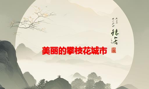 美丽的攀枝花城市