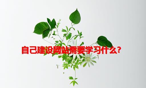 自己建设网站需要学习什么？