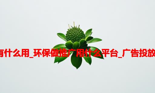 获取了网站源码有什么用_环保做推广用什么平台_广告投放-多网站信息推广