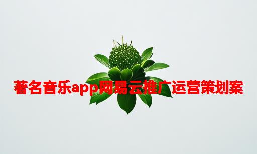 著名音乐app网易云推广运营策划案