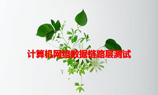 计算机网络数据链路层测试