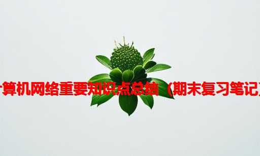 计算机网络重要知识点总结（期末复习笔记）