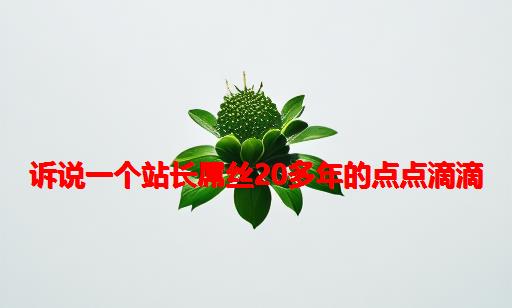 诉说一个站长屌丝20多年的点点滴滴