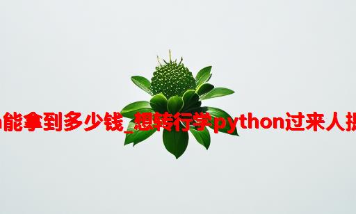 转行python能拿到多少钱_想转行学python过来人提醒大家几点