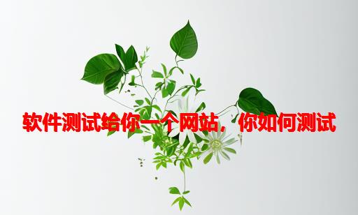 软件测试：给你一个网站，你如何测试