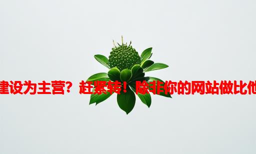 还以网站建设为主营？赶紧转！除非你的网站做比他们还漂亮