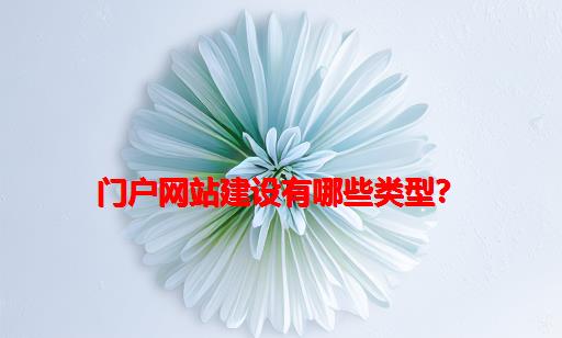 门户网站建设有哪些类型？