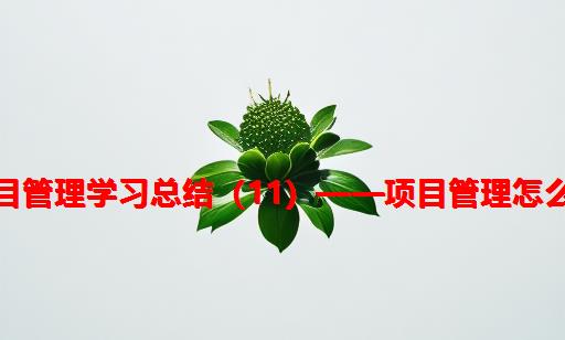 项目管理学习总结（11）——项目管理怎么做